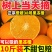 【彩箱】正宗四川爱媛38号果冻橙眉山应当季手剥橙子批发