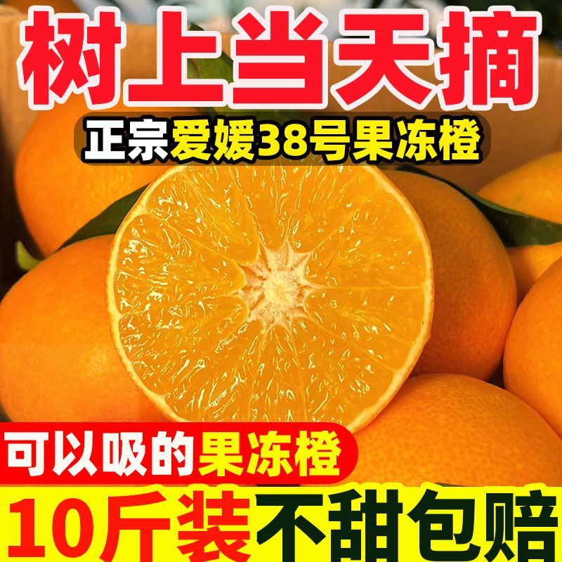 【彩箱】正宗四川爱媛38号果冻橙眉山应当季手剥橙子批发