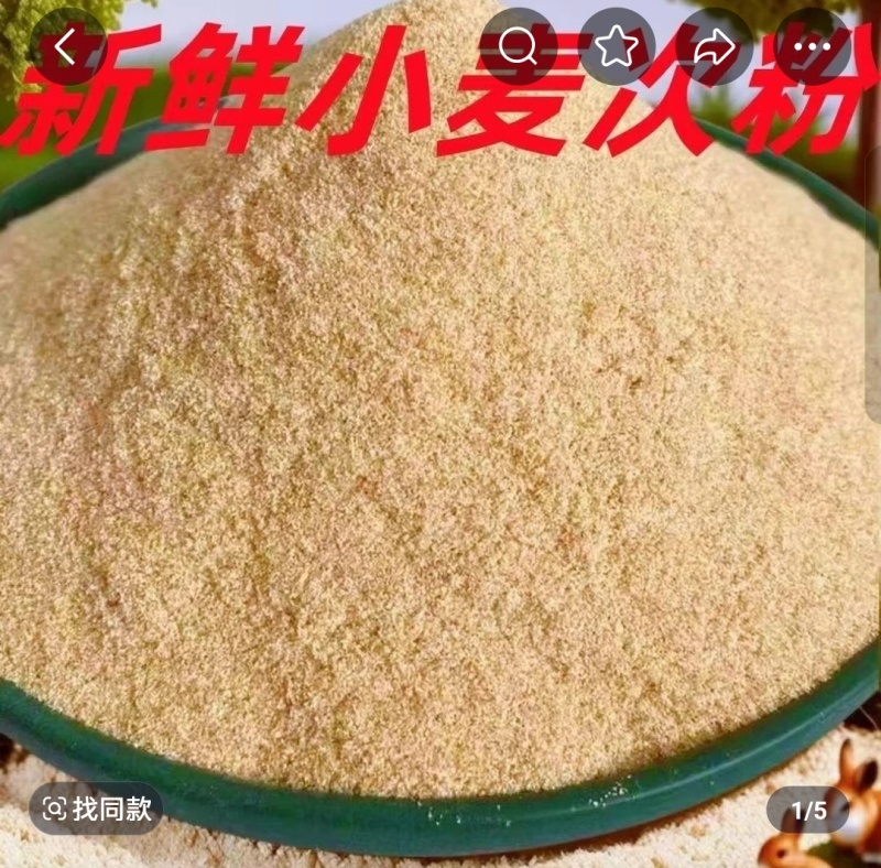 小麦次粉全国招商，饲料次粉，山东厂家直供，支持视频看货