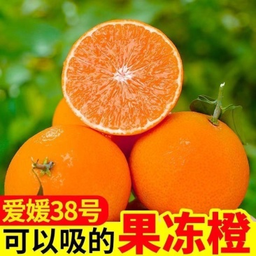 【彩箱】四川正宗果冻38爱媛橙爱媛当季新鲜孕妇水果柑橘橙
