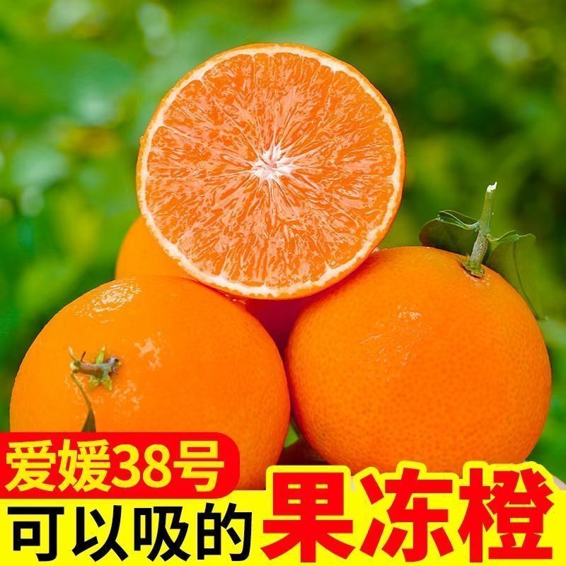 【彩箱】四川正宗果冻38爱媛橙爱媛当季新鲜孕妇水果柑橘橙