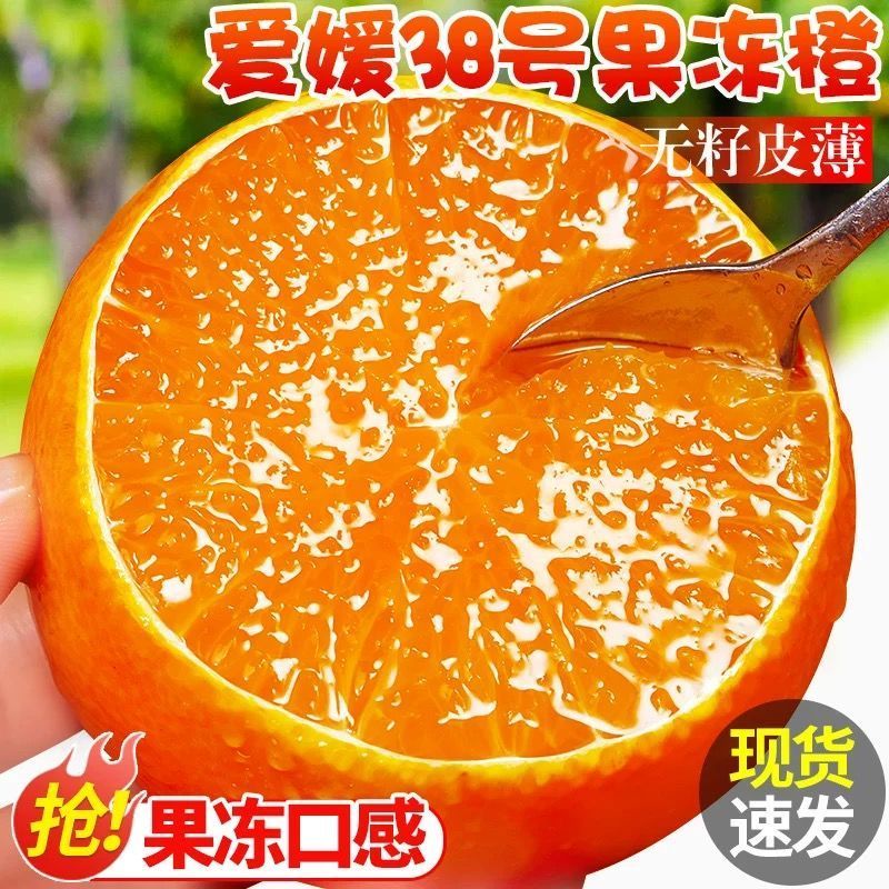 【彩箱】四川正宗果冻38爱媛橙爱媛当季新鲜孕妇水果柑橘橙