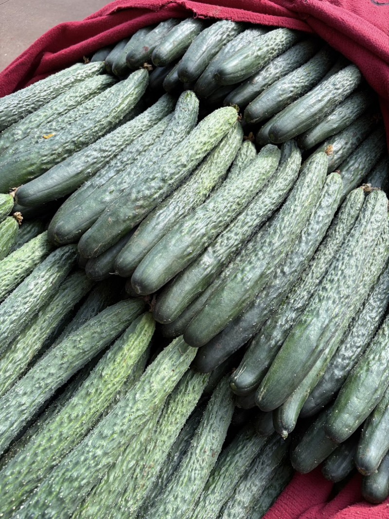 （特价）现摘现发原生态应季蔬菜🥒