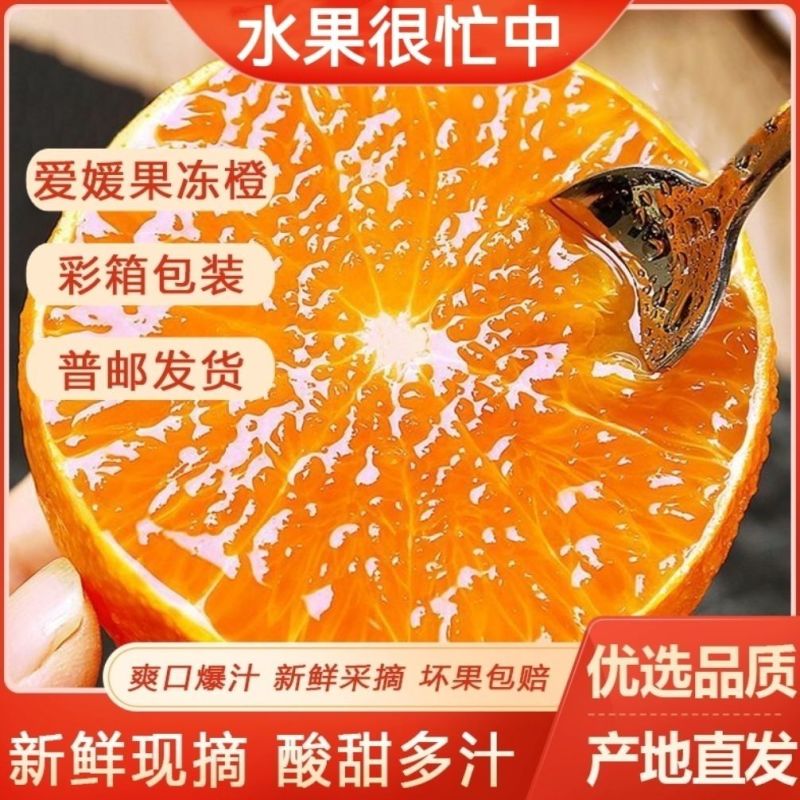 【彩箱】正宗果冻橙爱媛38号新鲜孕妇水果当季重庆橙子酸甜