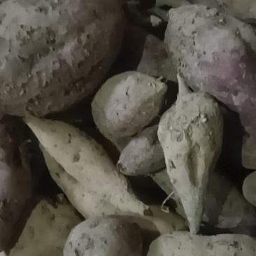 红薯🍠红皮白皮黄皮
