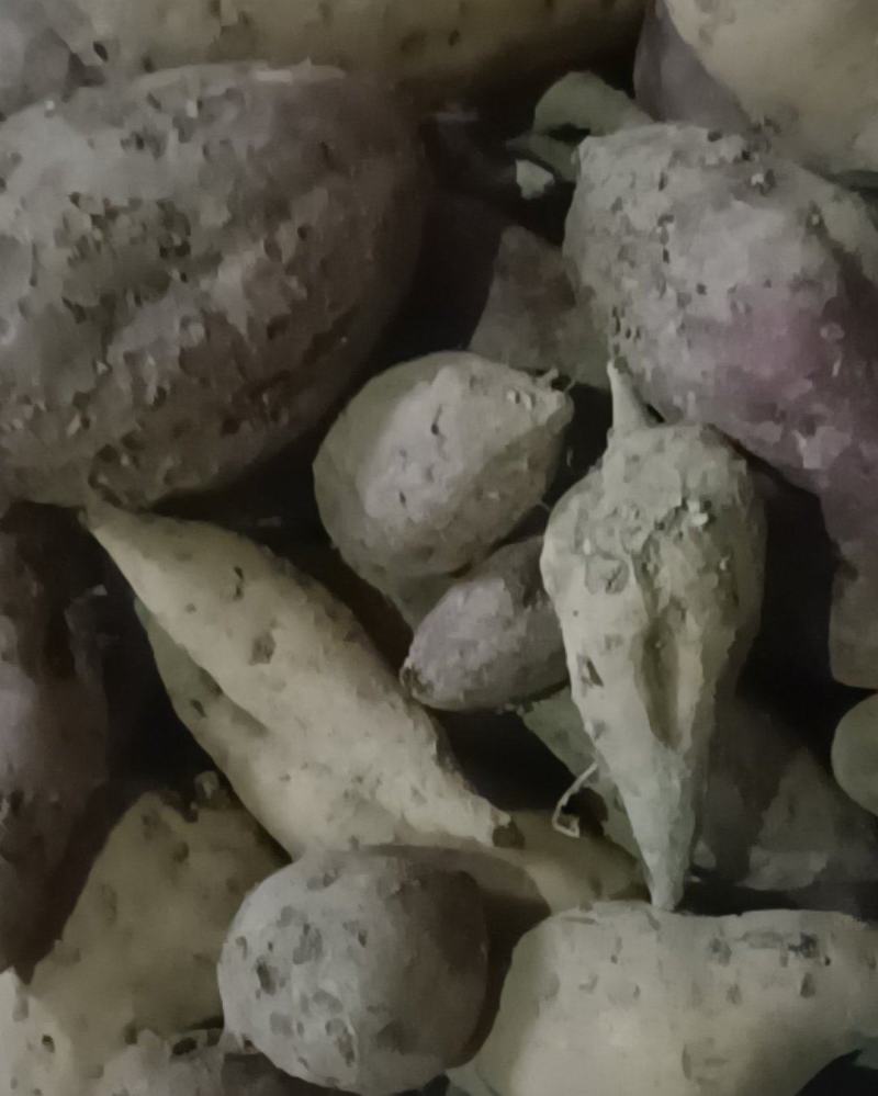 红薯🍠红皮白皮黄皮