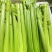 【实力货源】新鲜西芹芹菜现摘现发生吃榨汁产地直出