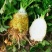 【实力货源】新鲜根芹芹菜对接电商商超大量批发全国供应