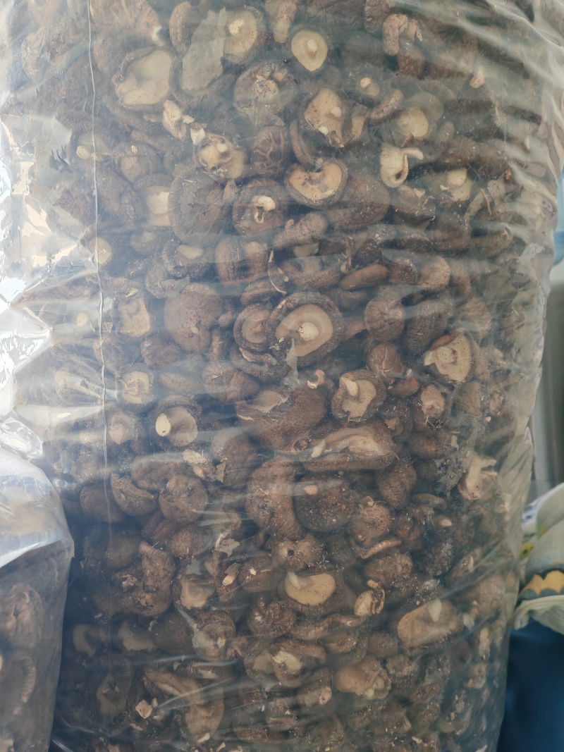 干香菇可代发电商件