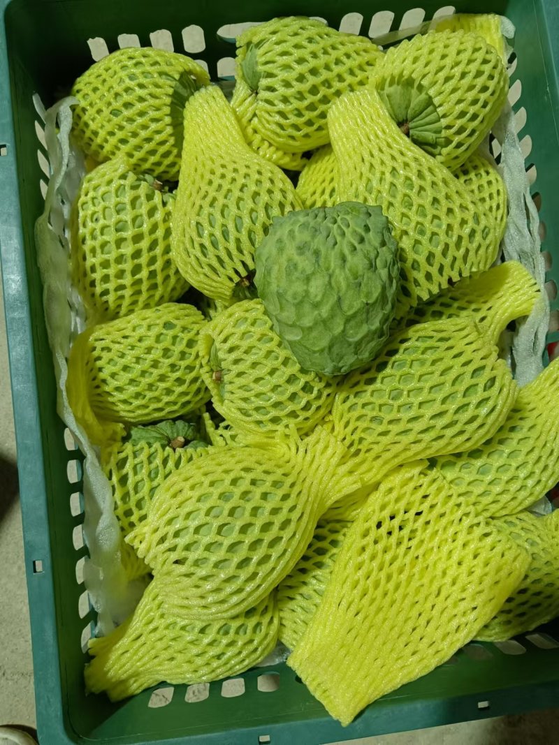 释迦现在以开始大量上市，价格实惠，需要的老板联系