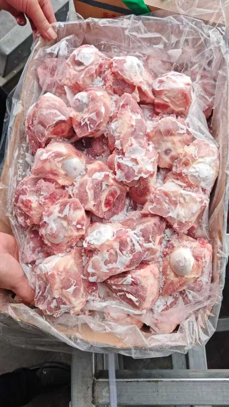 肥猪前筒骨10公斤/箱40个左右新货鲜分