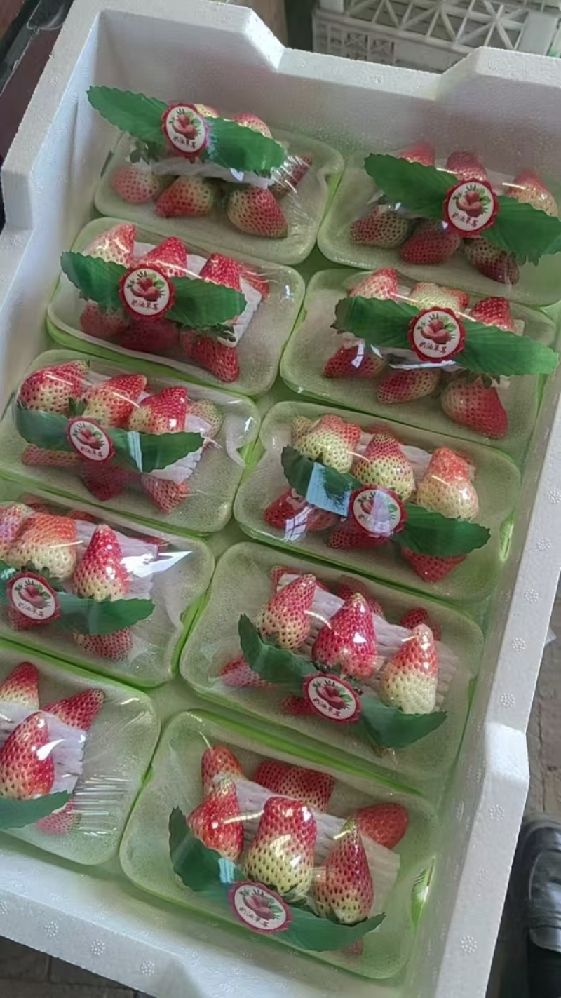 红颜草莓按需包装全国发货大量有货品种齐全价格面议