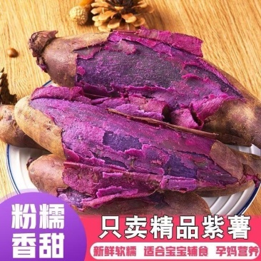 山东精品紫薯产地直发货源充足品质保证欢迎咨询