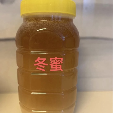 农村散养土蜂蜜