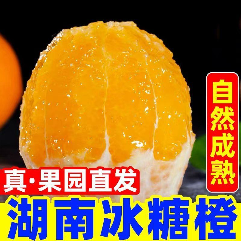 【彩箱】正宗湖南麻阳冰糖橙超甜手剥橙新鲜怀化冰糖橙净重5
