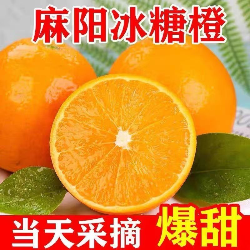 【彩箱】正宗湖南麻阳冰糖橙超甜手剥橙新鲜怀化冰糖橙净重5