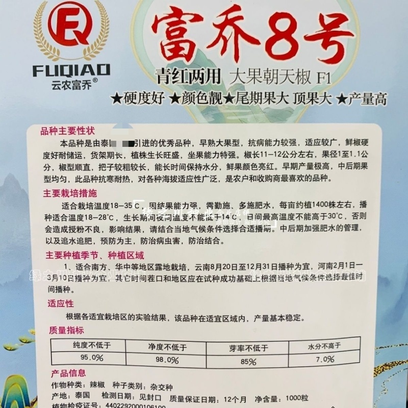 富乔8号朝天椒种子早熟大果滑皮椒朝天辣椒种子产量高硬度好