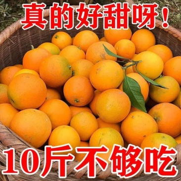 【爆甜】湖南麻阳冰糖橙超甜橙子当季新鲜水果批发