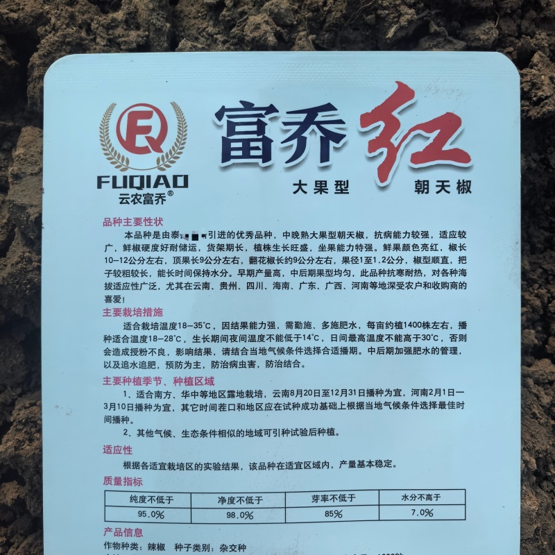 富乔红朝天椒种子中晚熟单生大果型辣椒种籽抗病春秋播种椒型