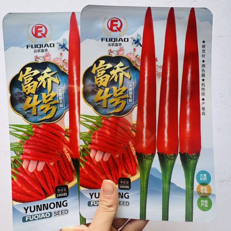 霸王红大果朝天椒种子抗热耐寒硬度好高产朝天椒种子籽基地播