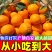 正宗麻阳冰糖橙当季新鲜脐橙超甜橙子现摘手剥橙