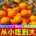 正宗麻阳冰糖橙当季新鲜脐橙超甜橙子现摘手剥橙