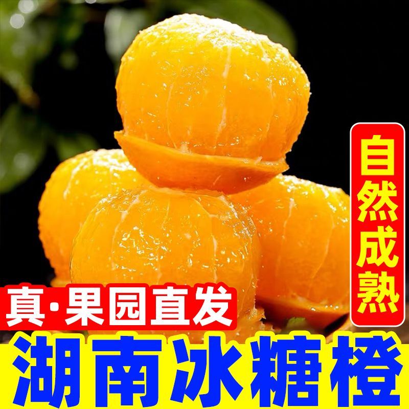 正宗麻阳冰糖橙当季新鲜脐橙超甜橙子现摘手剥橙