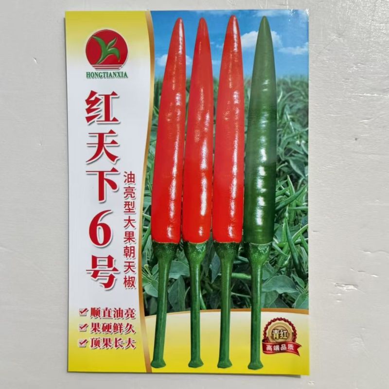 盖面王大果朝天椒种子硬度好耐寒耐热高产朝天椒种籽中早熟