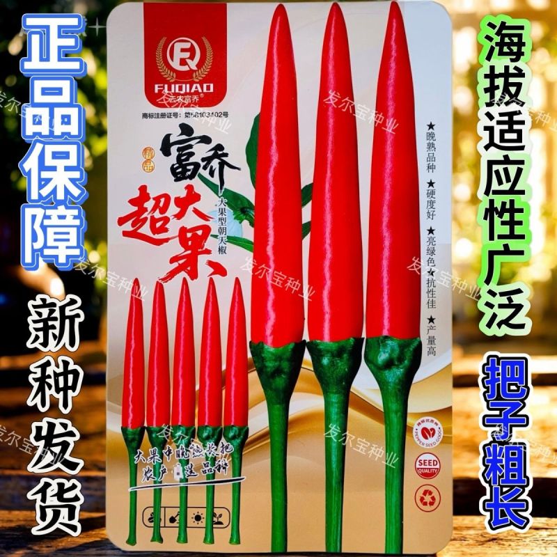 盖面王大果朝天椒种子硬度好耐寒耐热高产朝天椒种籽中早熟