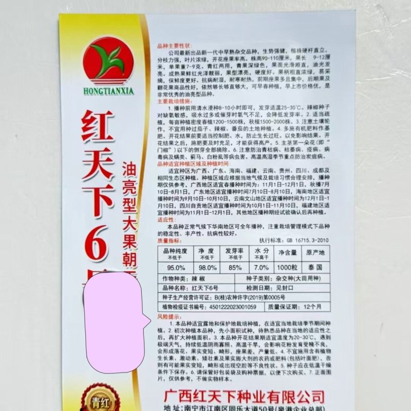 盖面王大果朝天椒种子硬度好耐寒耐热高产朝天椒种籽中早熟