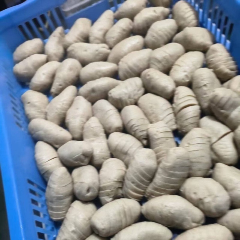 浙江面筋串【热卖】优质供货电商，品质保障