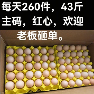 鲜鸡蛋