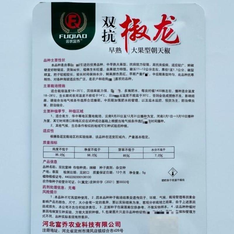 富乔一号朝天椒种子早熟大果耐热朝天辣椒种子产量高硬度好