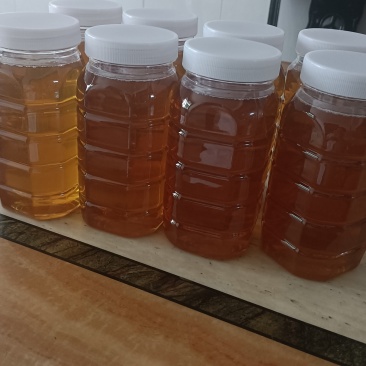 江西土蜂蜜自家养殖