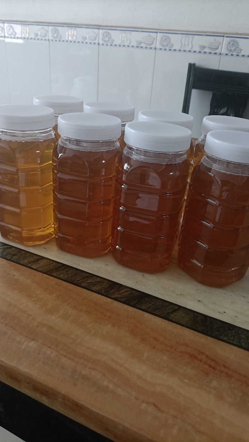江西土蜂蜜自家养殖