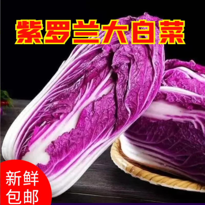 【一件代发电商代发】紫罗兰白菜花青素全国供应