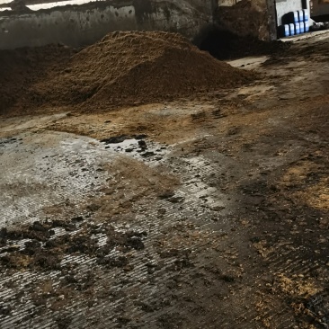 汕尾市海丰县湿猪粪长期供应，种植肥地养鱼廉价精品