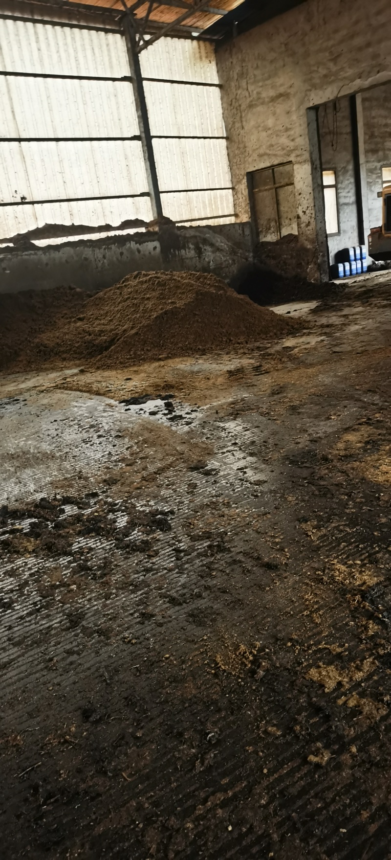 汕尾市海丰县湿猪粪长期供应，种植肥地养鱼廉价精品