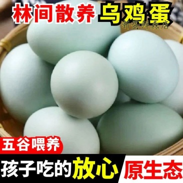 【50枚】新鲜乌鸡蛋绿壳新鲜现捡现发支持一件代发