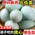 【50枚】新鲜乌鸡蛋绿壳新鲜现捡现发支持一件代发