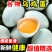 【50枚】新鲜乌鸡蛋绿壳新鲜现捡现发支持一件代发