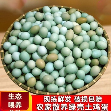 纯绿壳乌鸡蛋土鸡蛋正宗原产地新鲜发货整箱批发生鲜新鲜草鸡