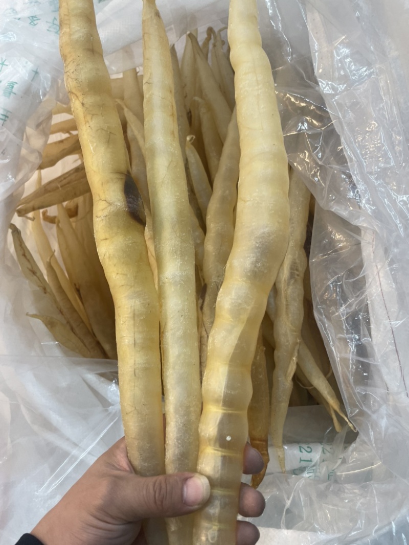 鳗鱼胶，蟮肚花胶本港鳗鱼，马来鳗鱼，新加坡鳗鱼