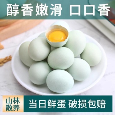 【20枚乌鸡蛋】正宗农家散养绿壳乌鸡蛋新鲜放养月子蛋鲜鸡