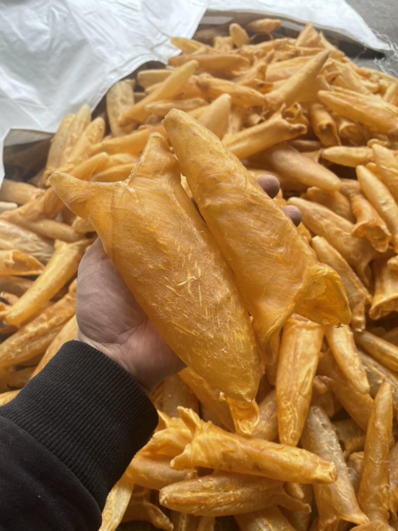 新西兰胶公，纽肚，白胶，新西兰鳕鱼胶，鳕鱼公