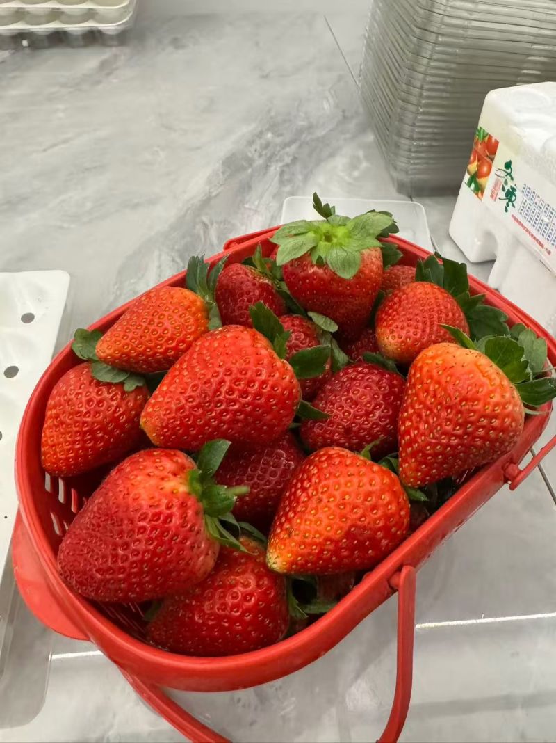 糖葫芦，商用，蛋糕店，批发，零售