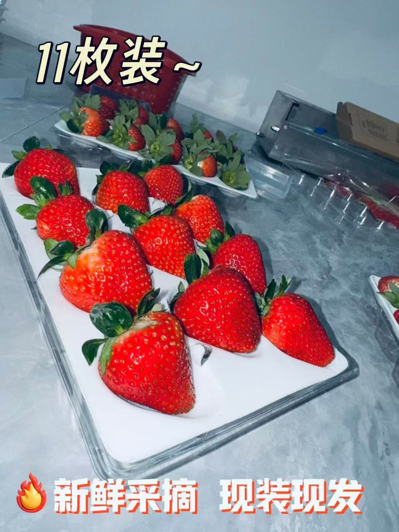 糖葫芦，商用，蛋糕店，批发，零售