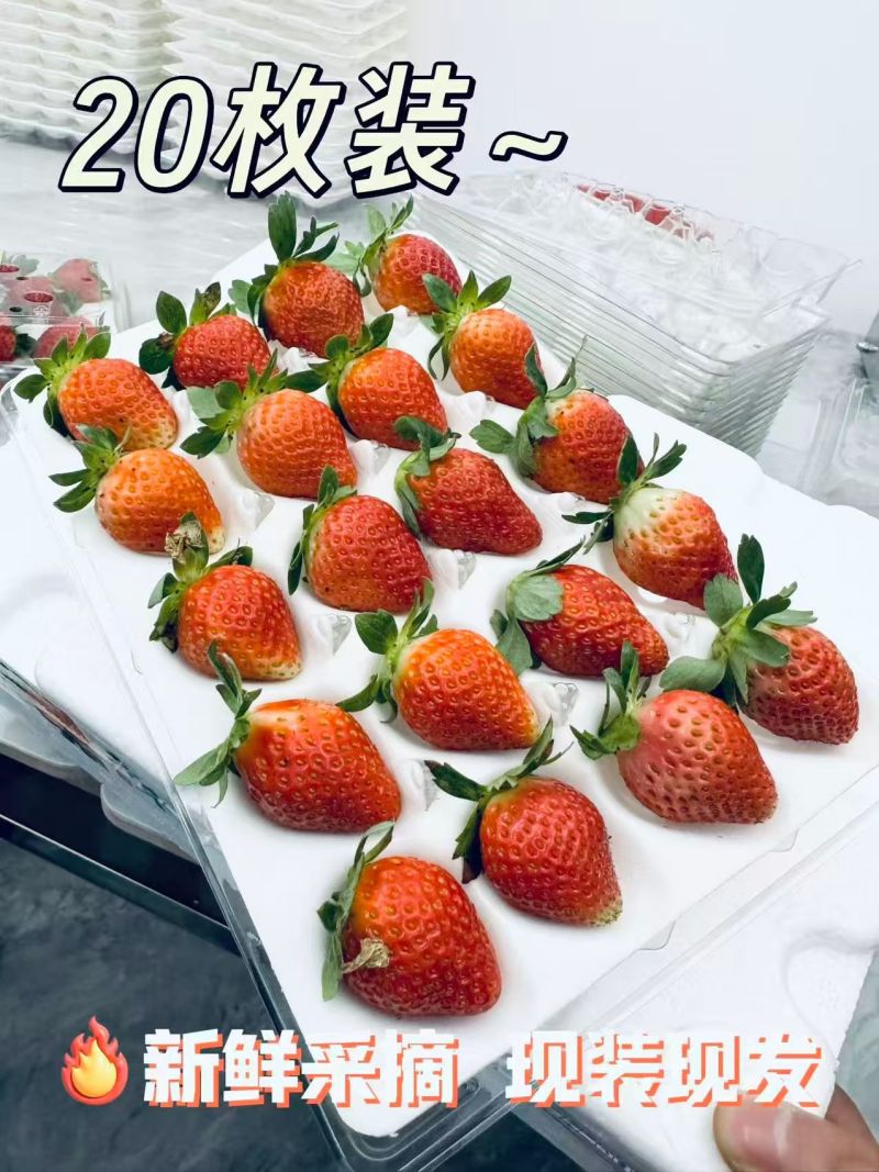 糖葫芦，商用，蛋糕店，批发，零售