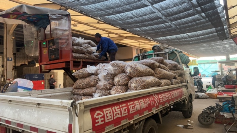 慈姑