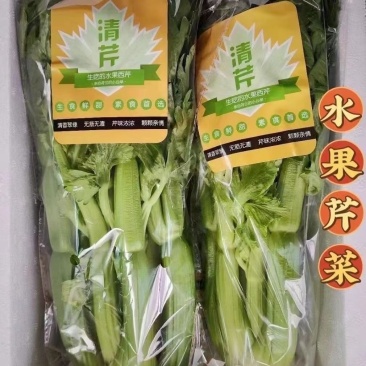 【实力货源】水果清芹荷兰芹菜脆嫩爽口生吃榨汁